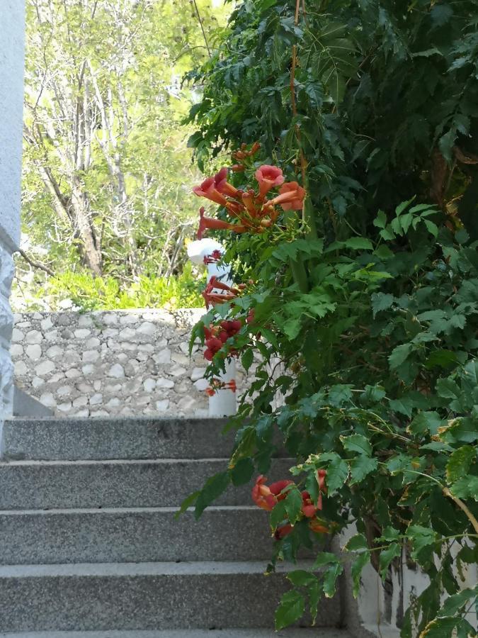 Apartments Bassi Stara Baška Dış mekan fotoğraf