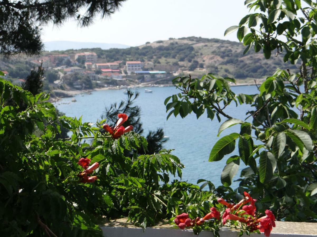Apartments Bassi Stara Baška Dış mekan fotoğraf